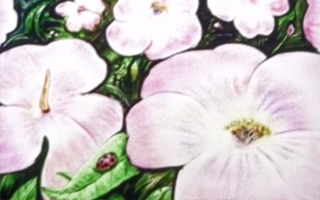 展会沙画视频《顶塑》特殊定制